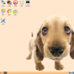 2363491139_ebd6c59613_pup1_O_405