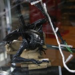 3150930195_423a68e5e3_IMG_6902_O_34