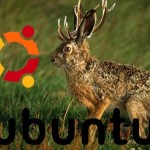 3467912386_ce1d2aac68_jauntyjack_O_329