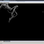 375109282_631320dd6e_windowsdentrodelinux_O_42