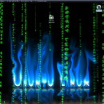 408220401_eae440feb7_matrix_O_254